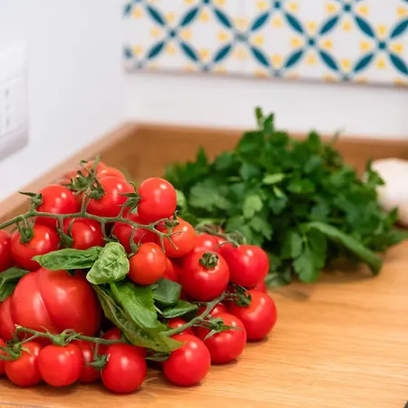 Anfora Romana - Centro Apartmán